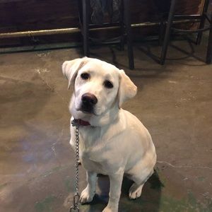 Meet your Posher, Maria